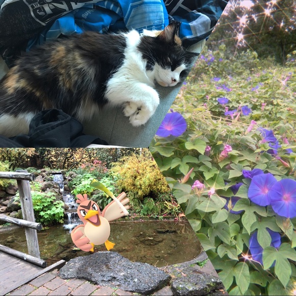 • Welcome! • - Picture 2 of 7